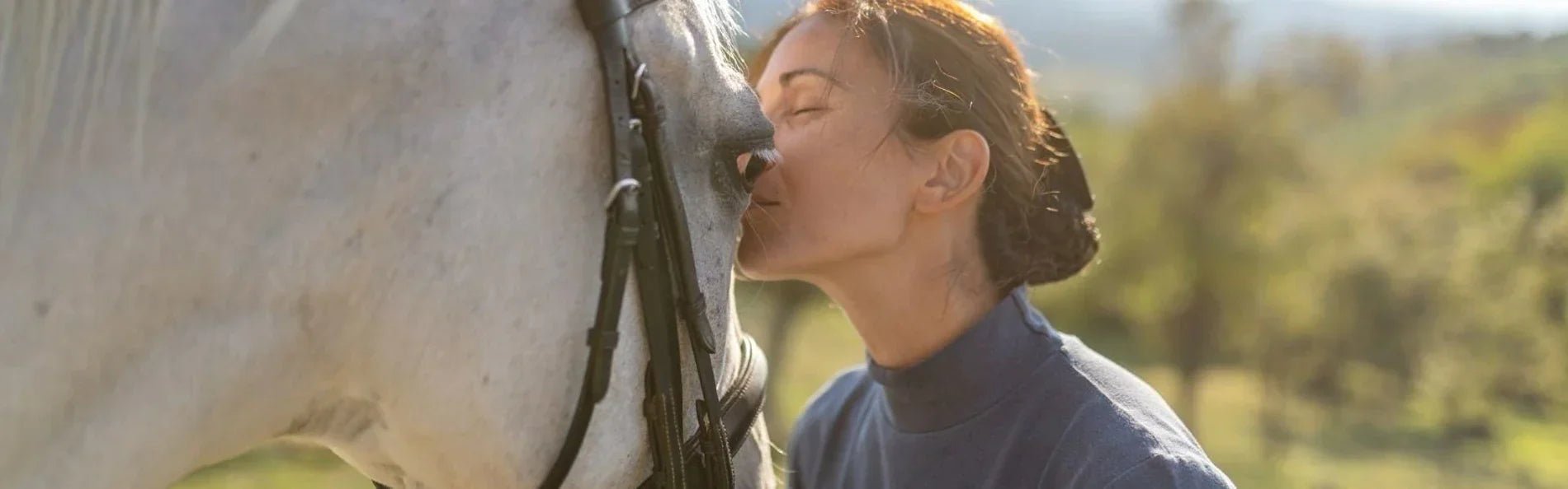 10 Reasons Why You Fell In Love With Horses (Just To Remind You On The Bad Days) - Equetech