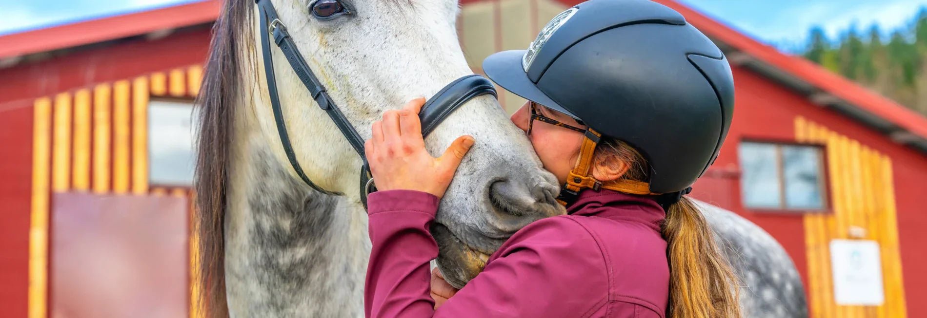 10 Reasons Why You Loe Your Horse - Equetech