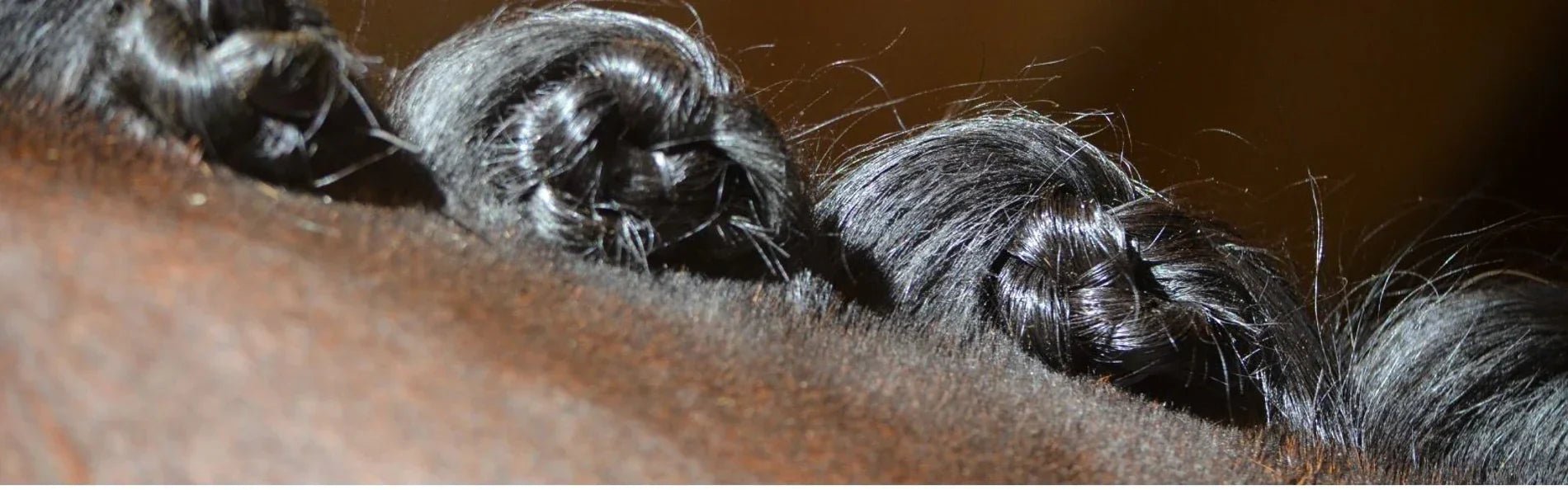 Competition Tips From Professional Riders - Equetech
