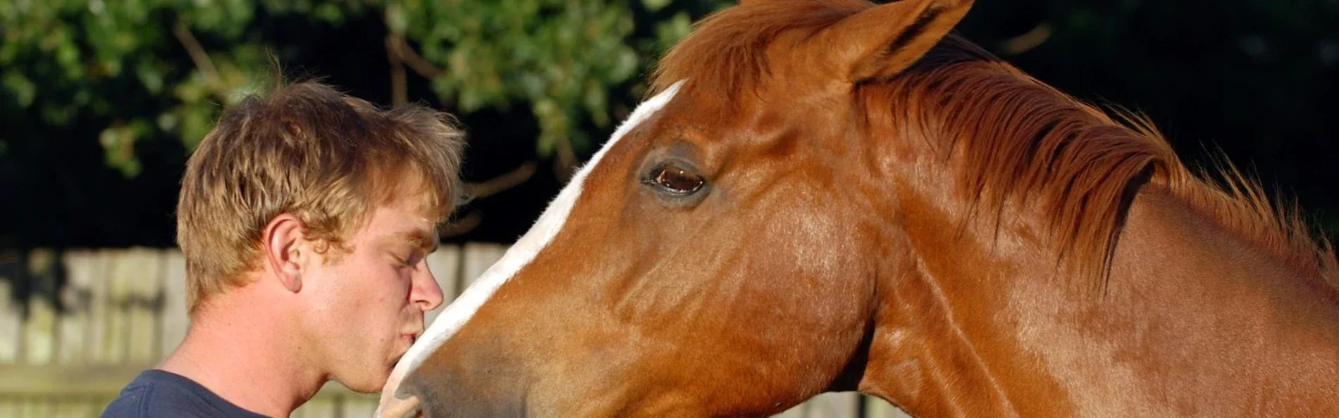 Horse Riding Tips For Safe Summer Riding