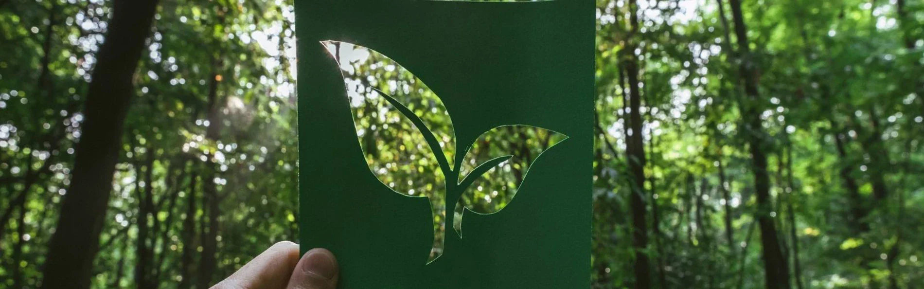 Our Eco-Equestrian Credentials