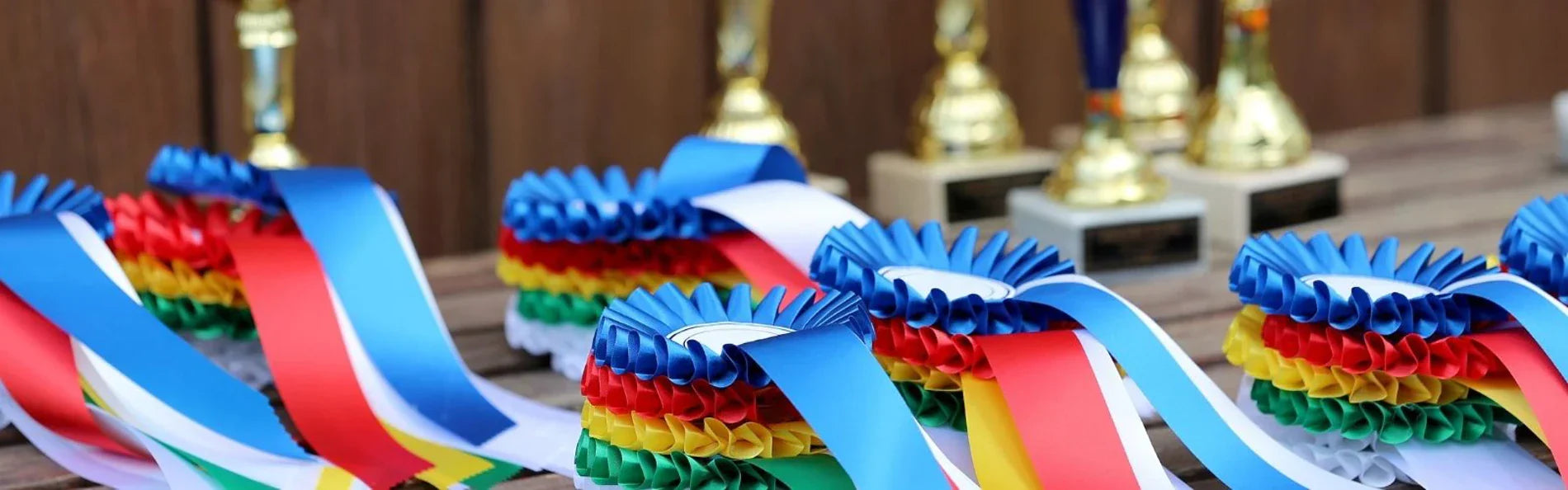 10 Tips For Looking The Part In The Show Ring