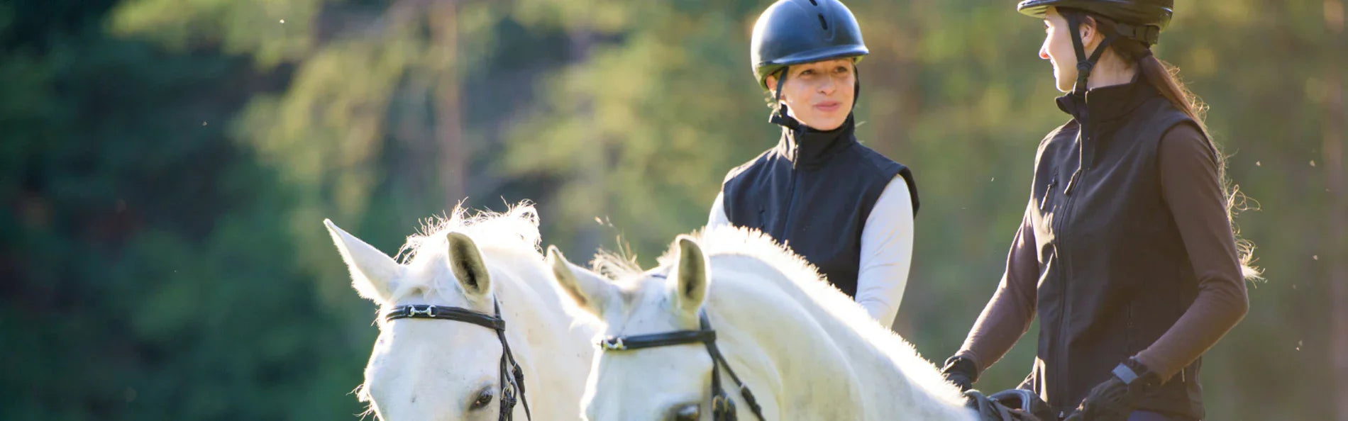 7 Surprising Health Benefits of Horse Riding