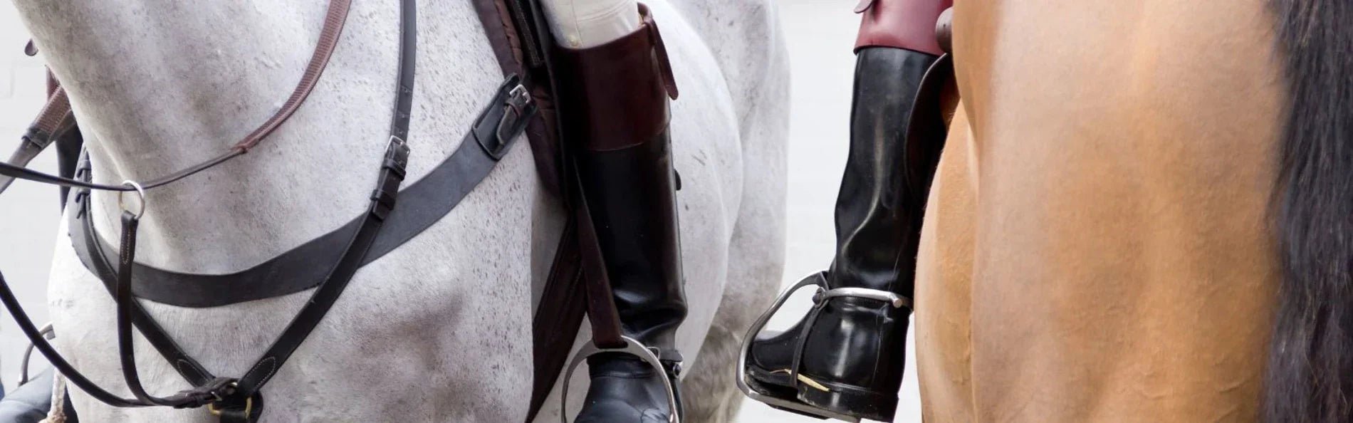The Hunting Frock Coat vs The Kimblewick - You Decide! - Equetech