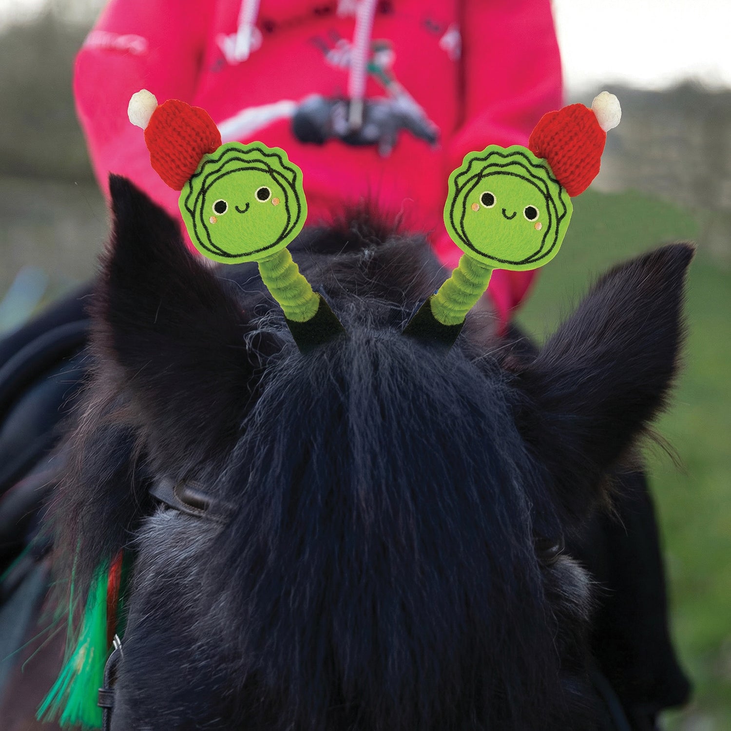 Equetech Buddy Brussels Horse Bridle Boppers