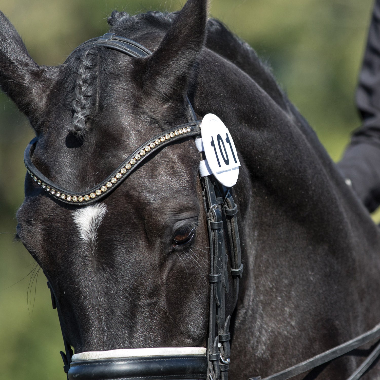 Equetech Bridle Dressage Numbers - Pair