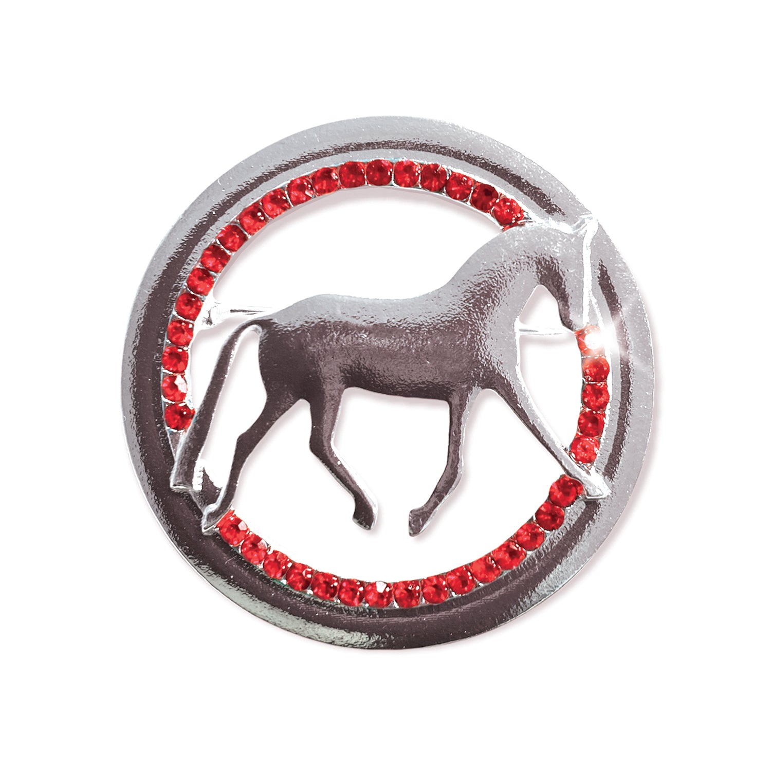 Dressage Provincial Stock Pin