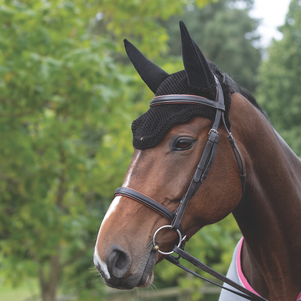 Equetech Horse Soundless Ear Net Hood