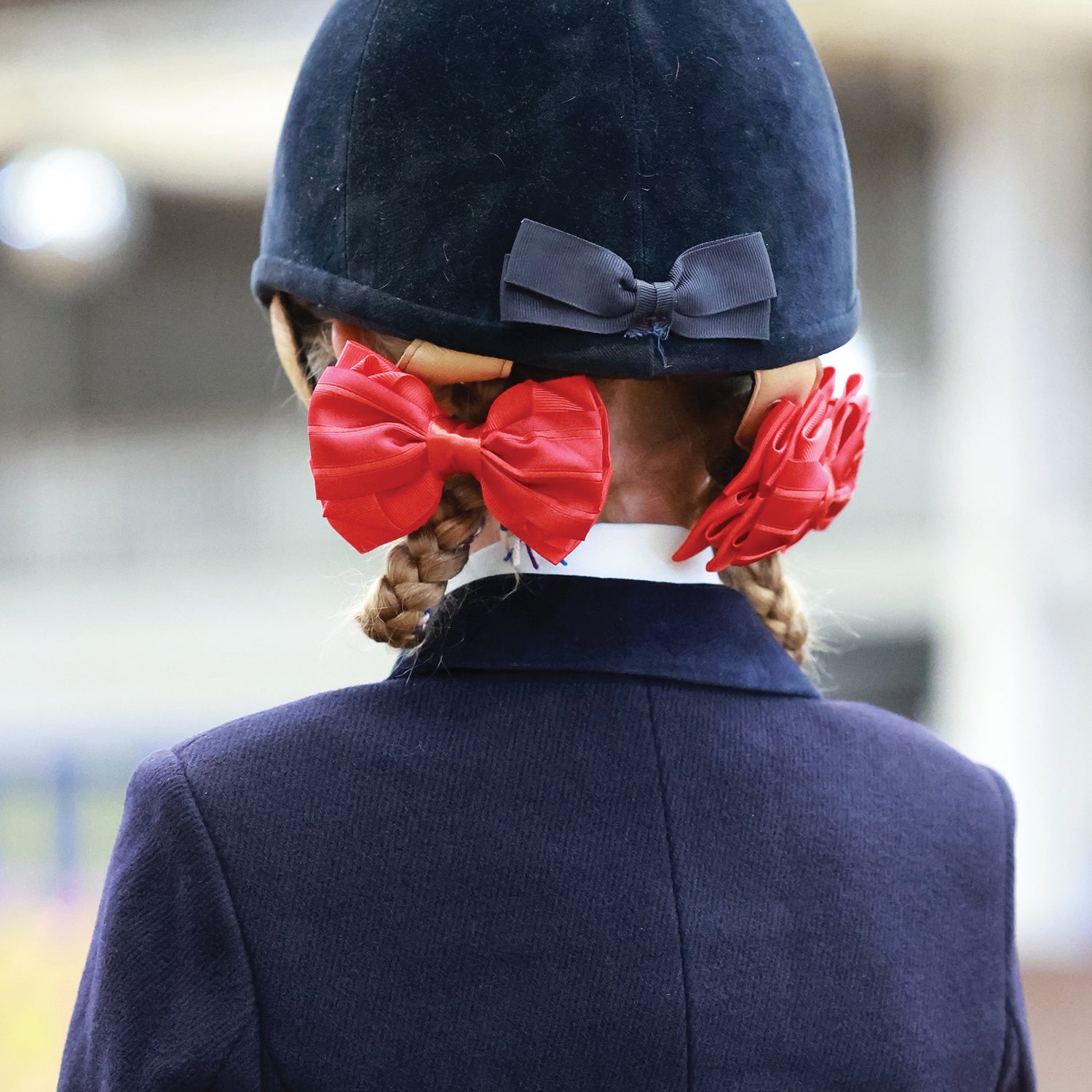 Equetech Luxury Regent Striped Show Bow Ribbons - Pair