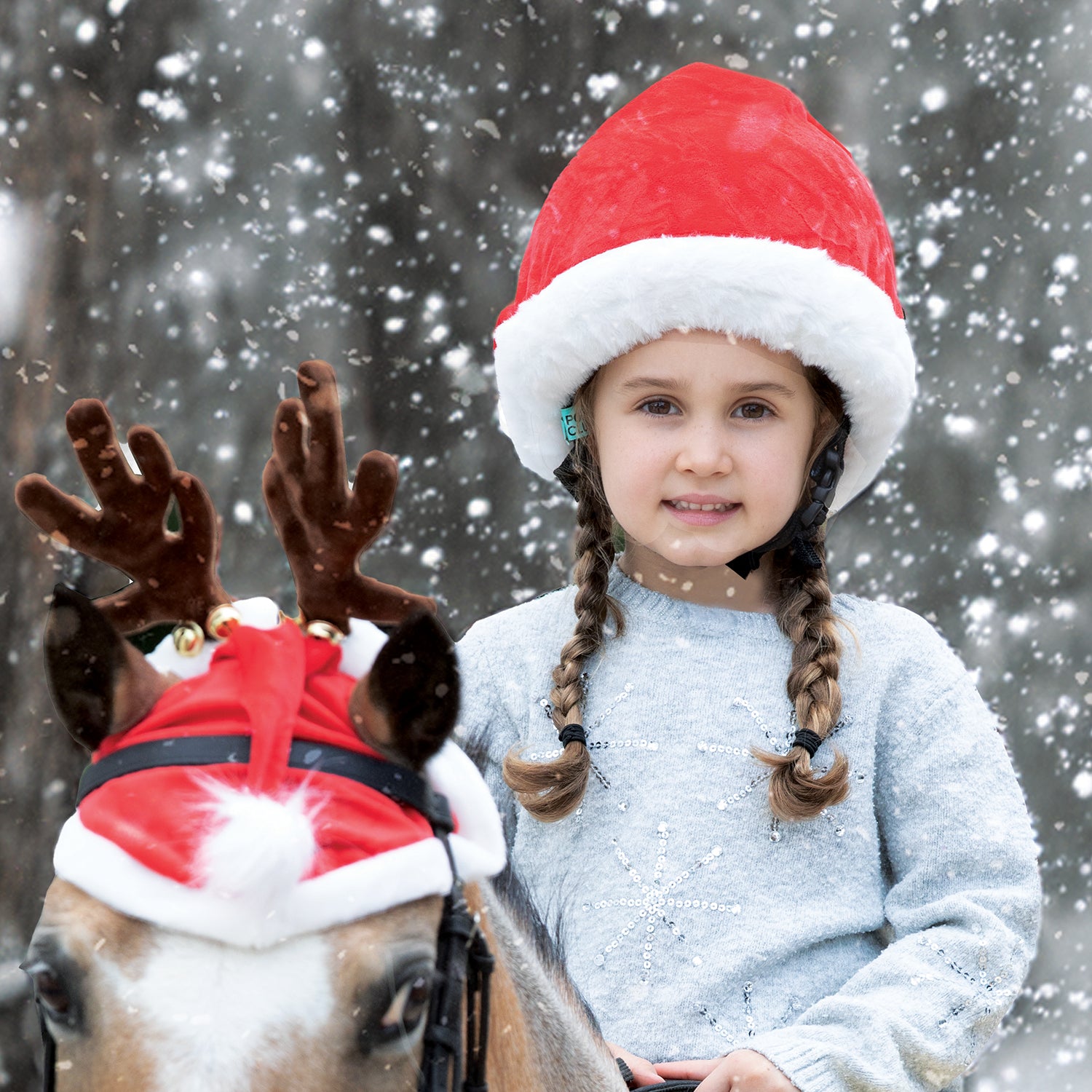 Equetech Santa's Hat Silk