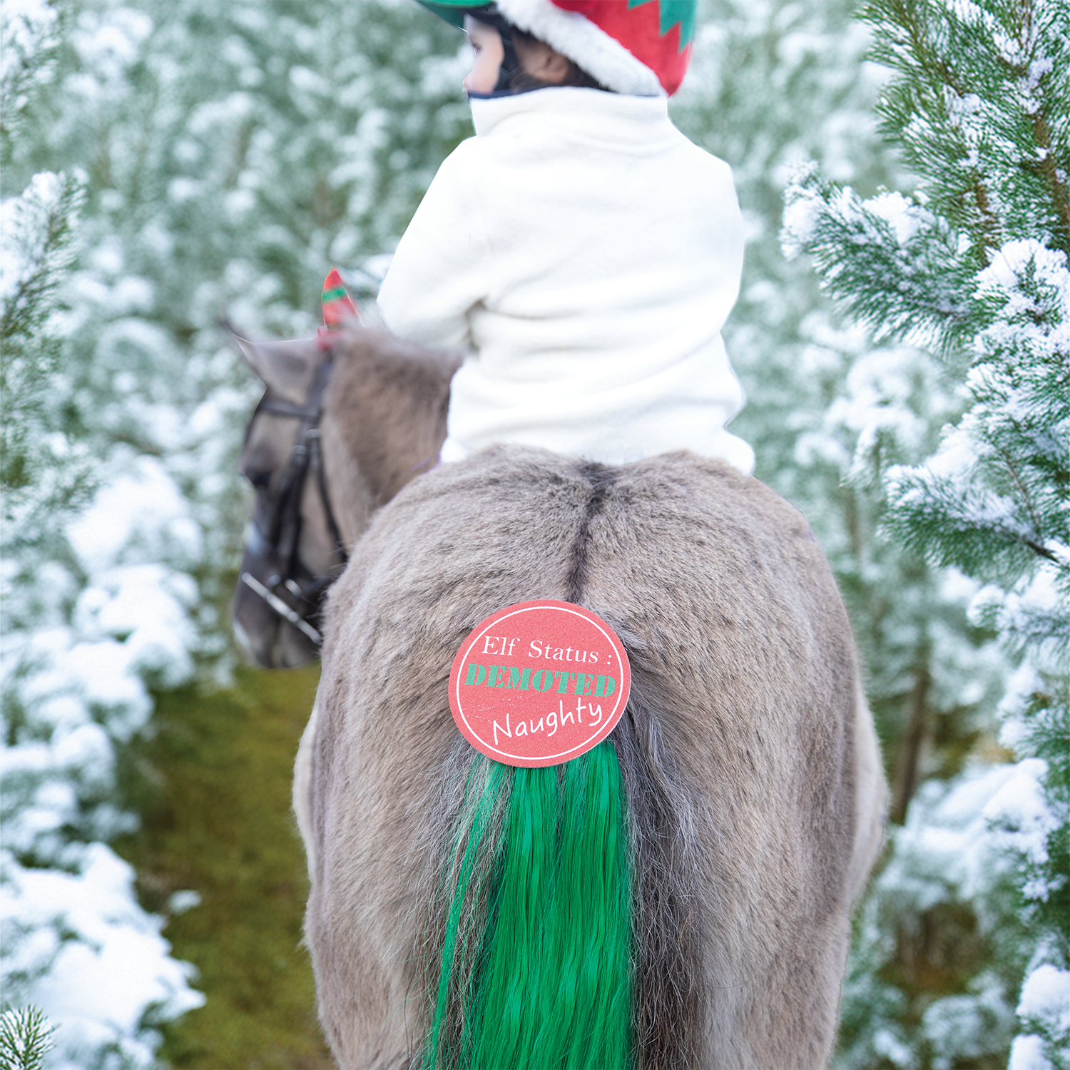 Equetech Cheeky Elf Festive Christmas Tail Tassel