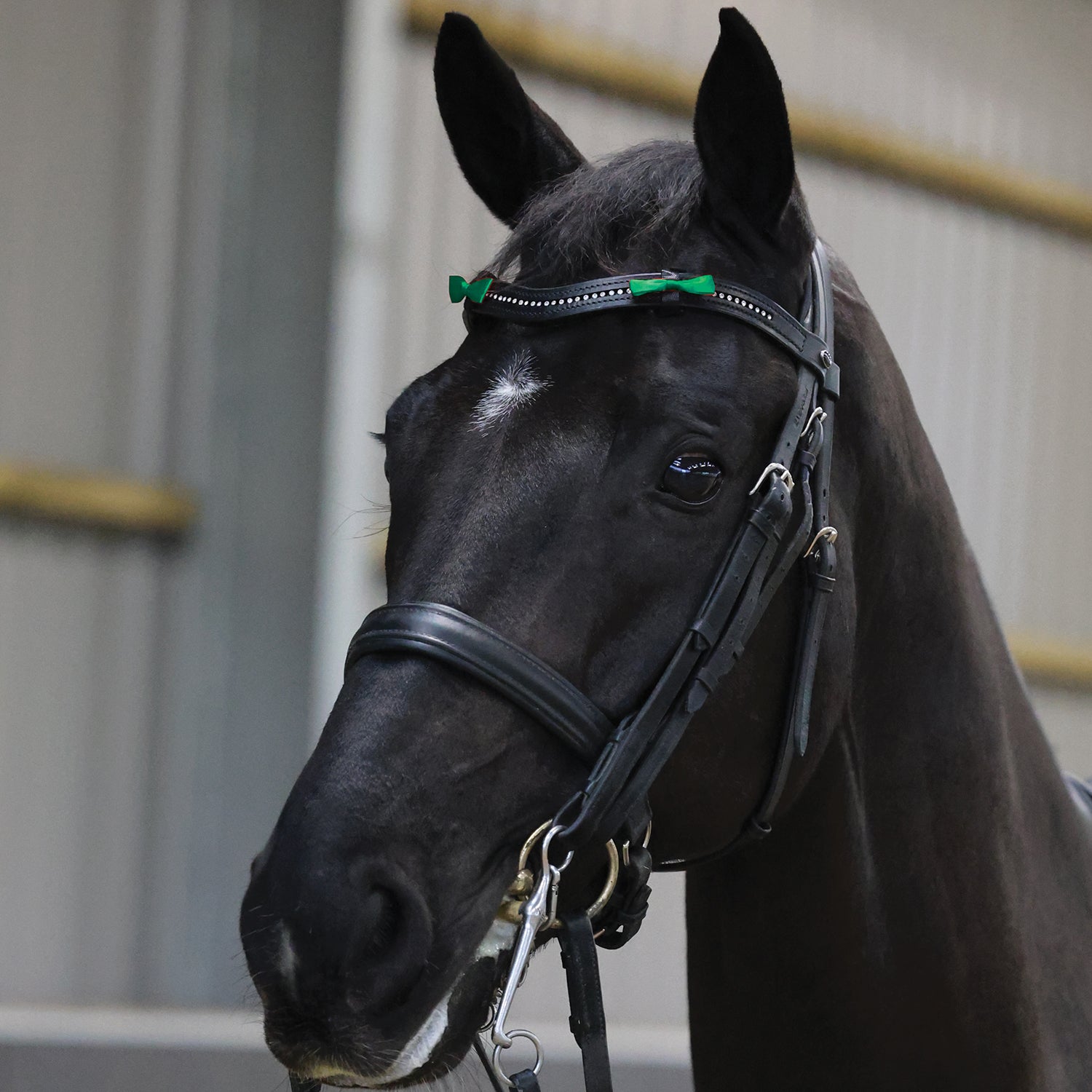 Equetech Horse Bridle Warning Ribbons - Green