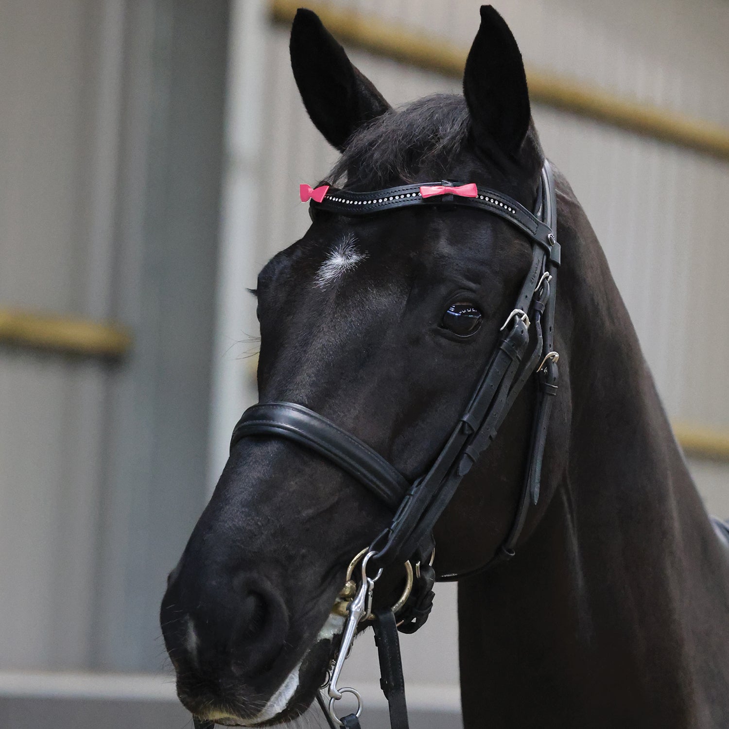 Equetech Horse Bridle Warning Ribbons - Pink