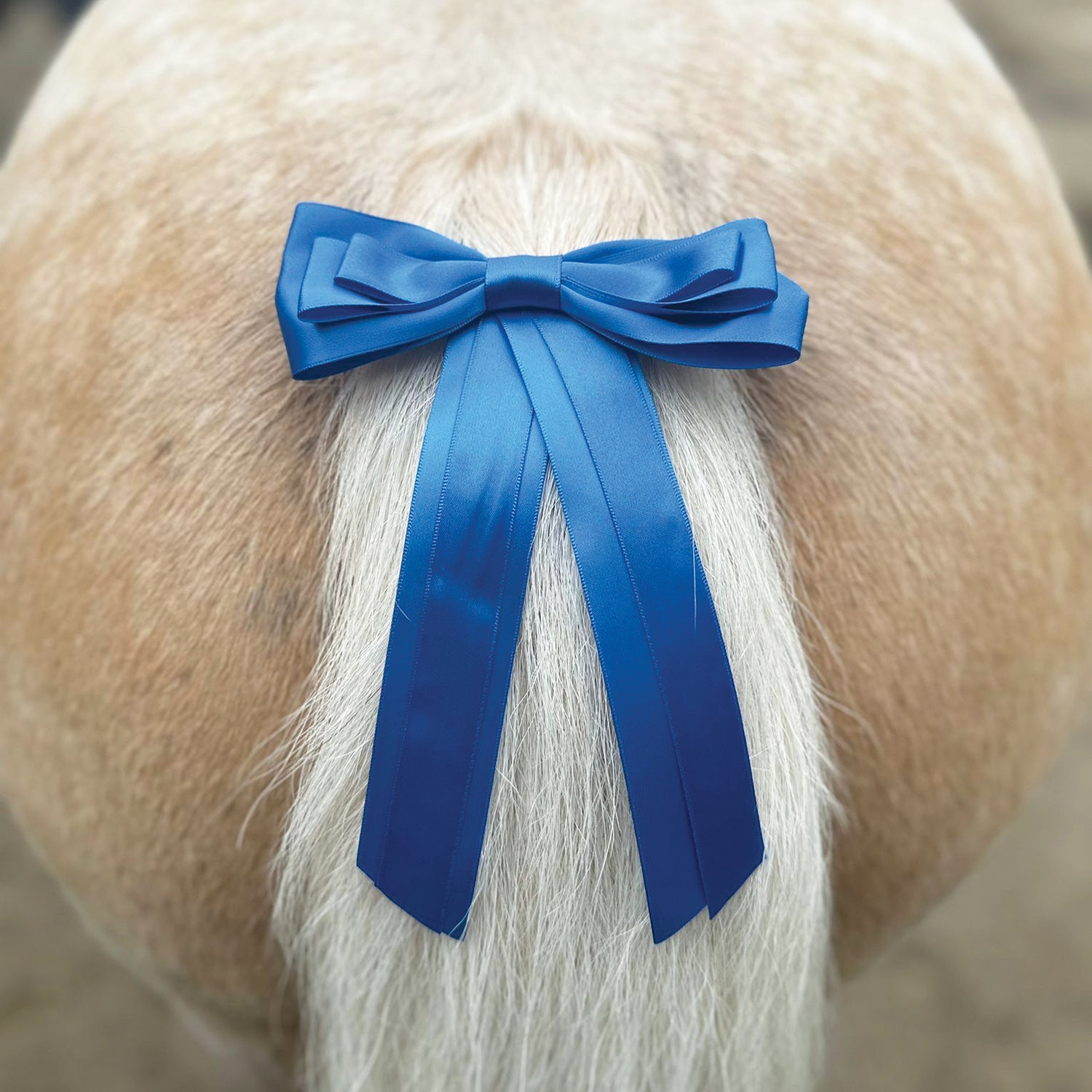 Equetech Horse Competition Warning Tail Ribbon - Blue