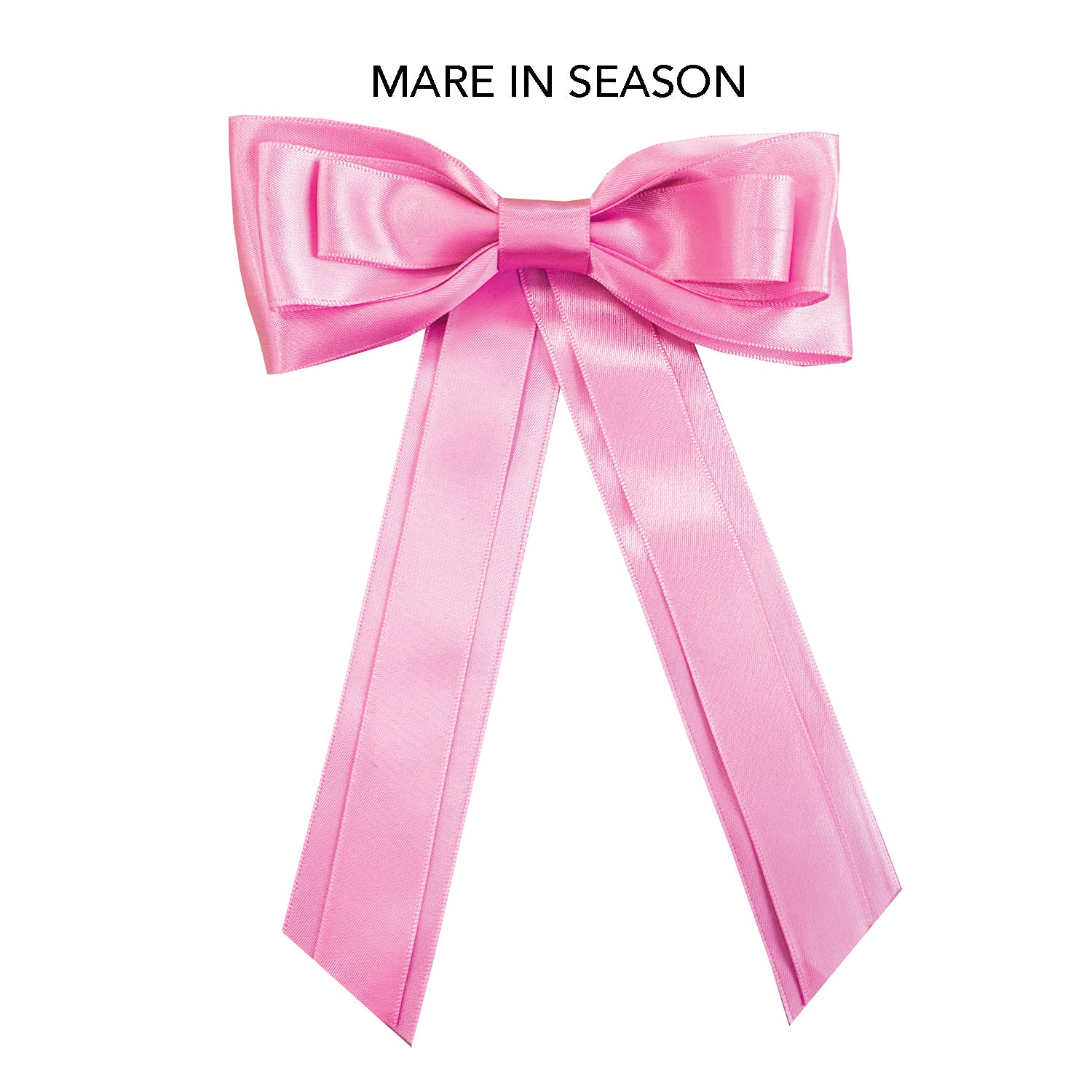 Equetech Horse Competition Warning Tail Ribbon - Pink
