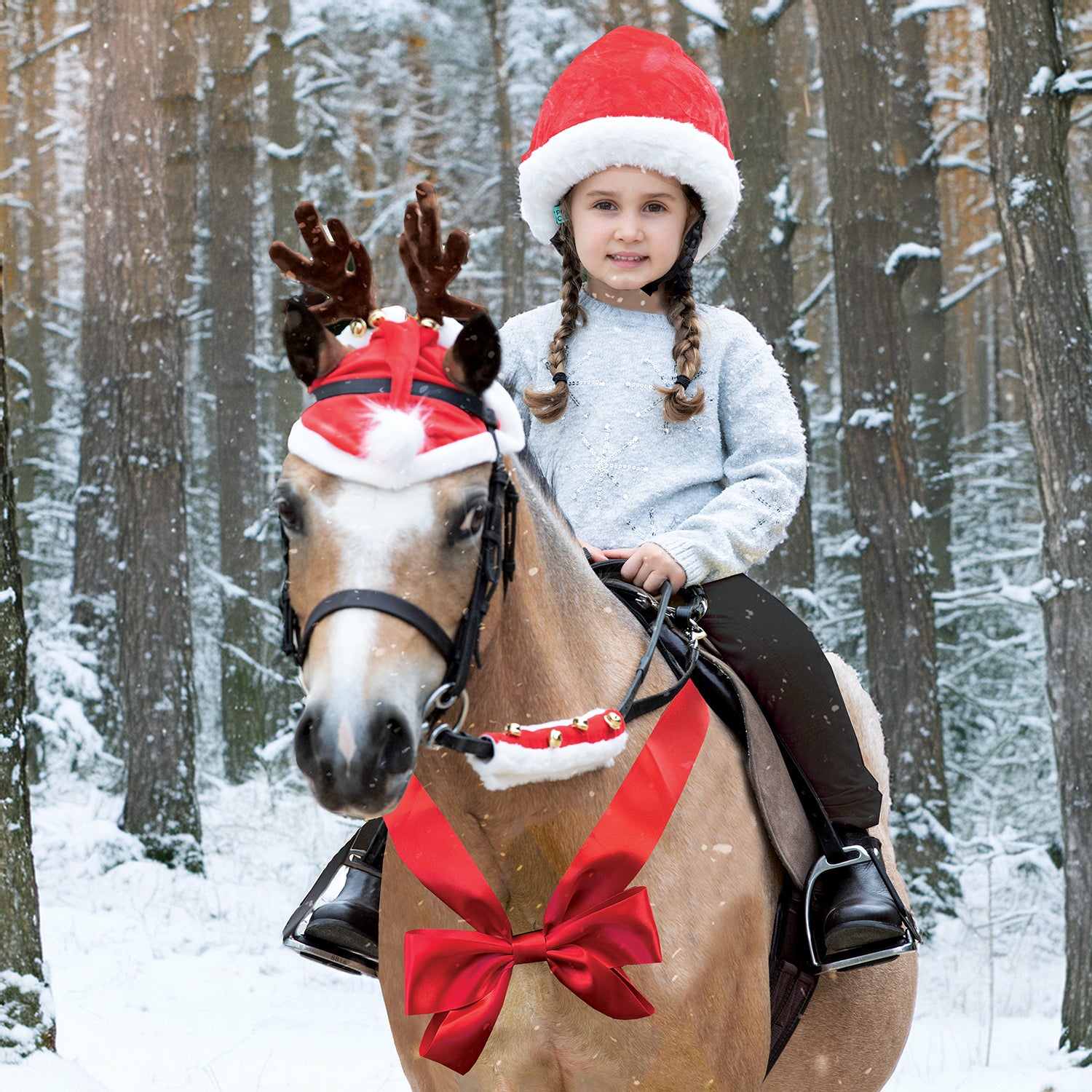 Equetech Reindeer Antler Bridle Accessory
