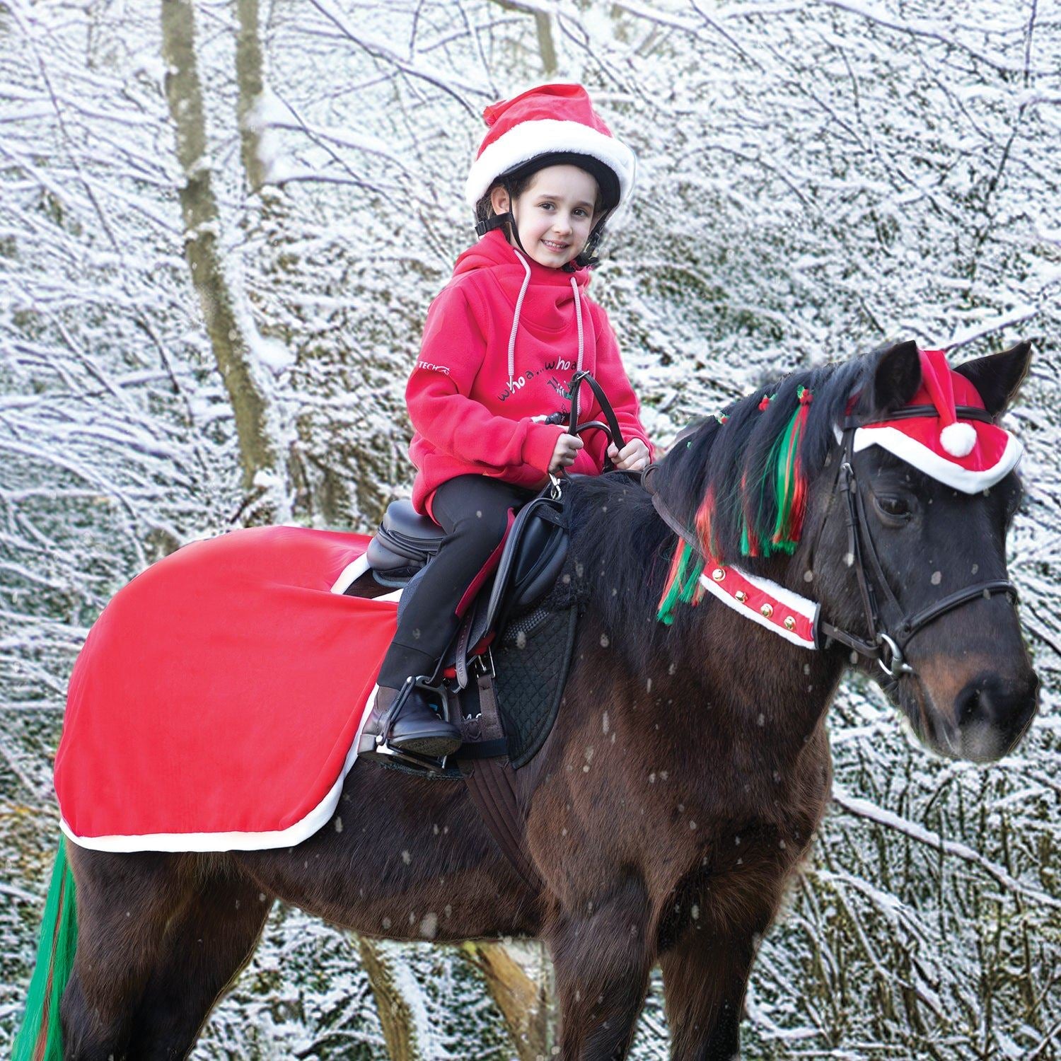 Santa Festive Horse Quarter Sheet