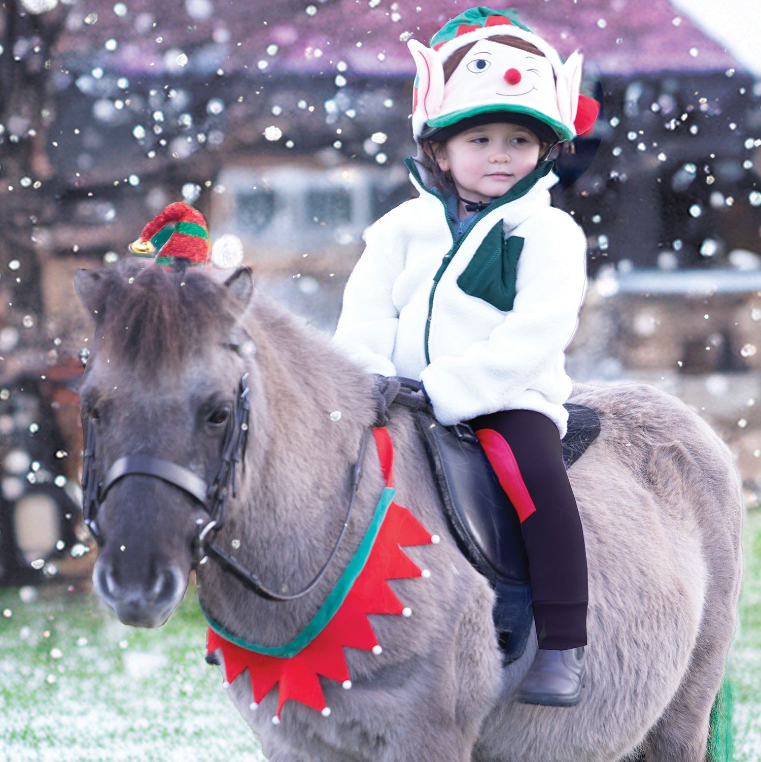 Festive Horse Christmas Breastplate - Equetech
