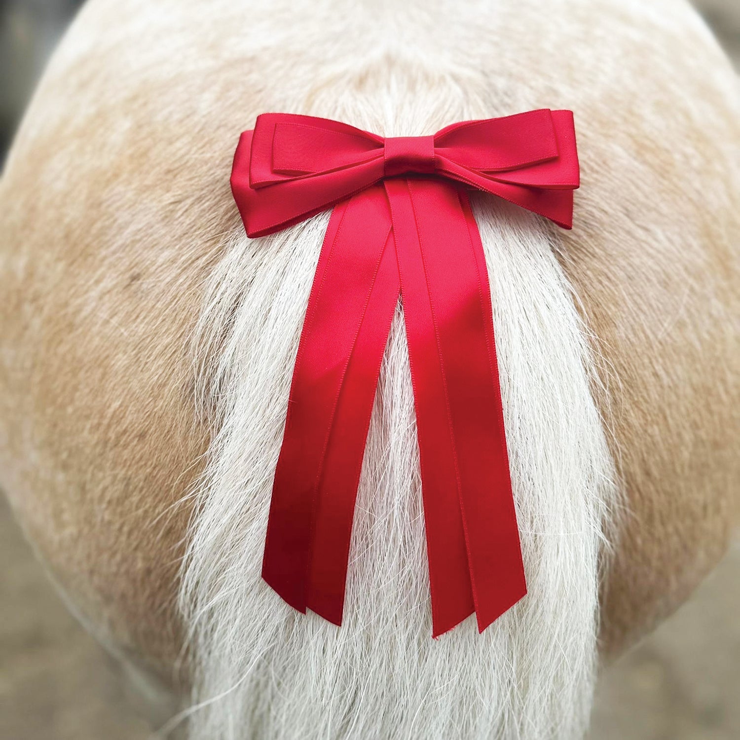 Horse Competition Warning Tail Ribbon - Equetech