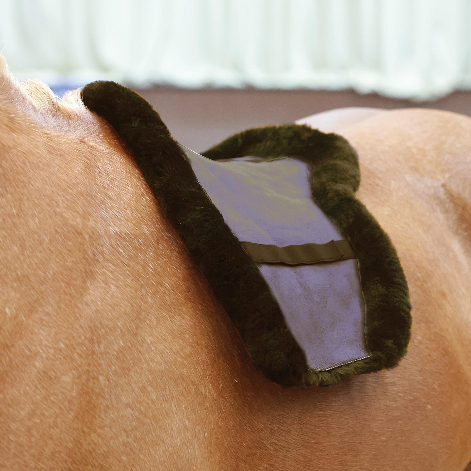 Sheepskin Showing Numnah (Seconds) - Equetech
