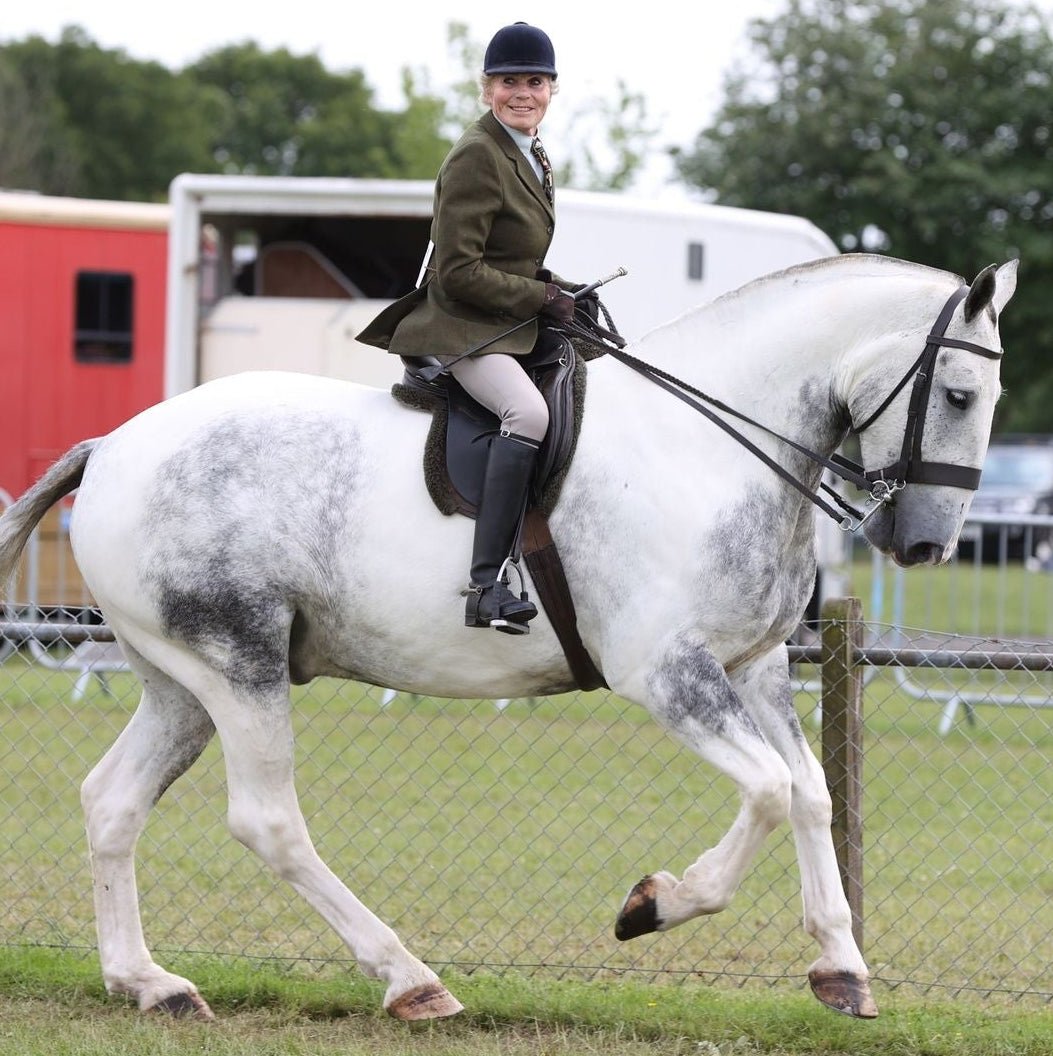 Showtime Riding Boots - Equetech