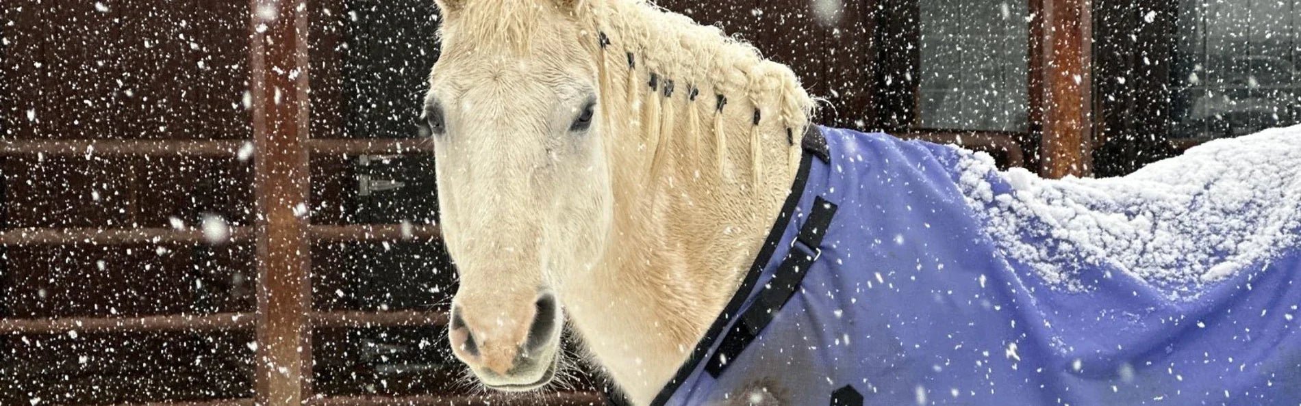 5 Ways To Beat The Clock This Winter! - Equetech