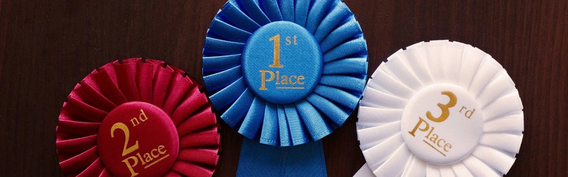 Championship Styling! - Equetech