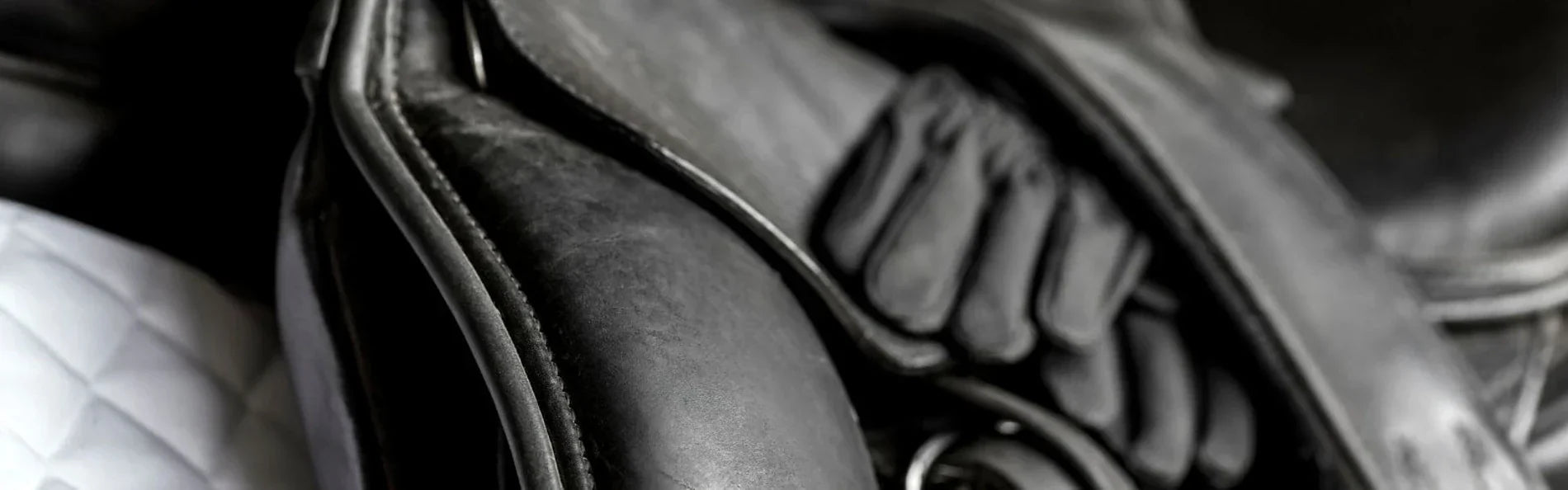 20 Essentials For Your Horsebox!