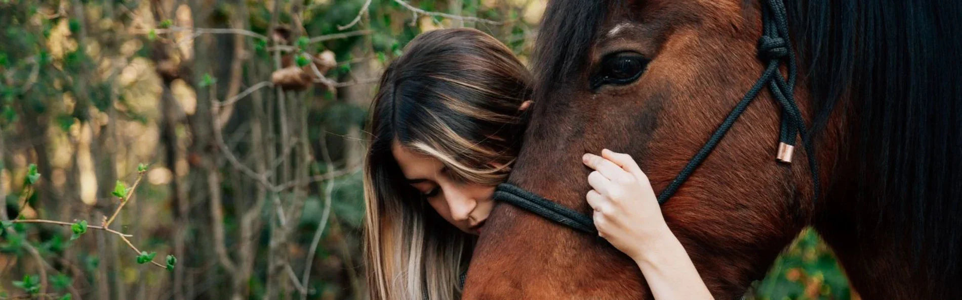 Stay Cool: 5 Tips For Equestrians To Beat The Summer Heat