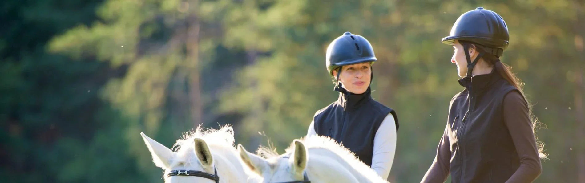 5 Reasons To Try Horse Camp This Summer