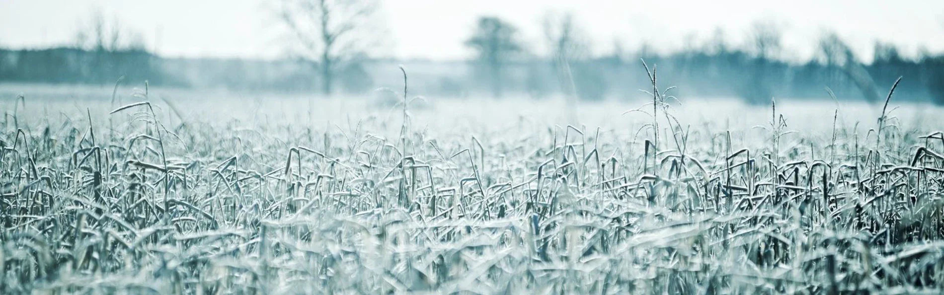 Making The Most Out Of Your Hacking This Winter!