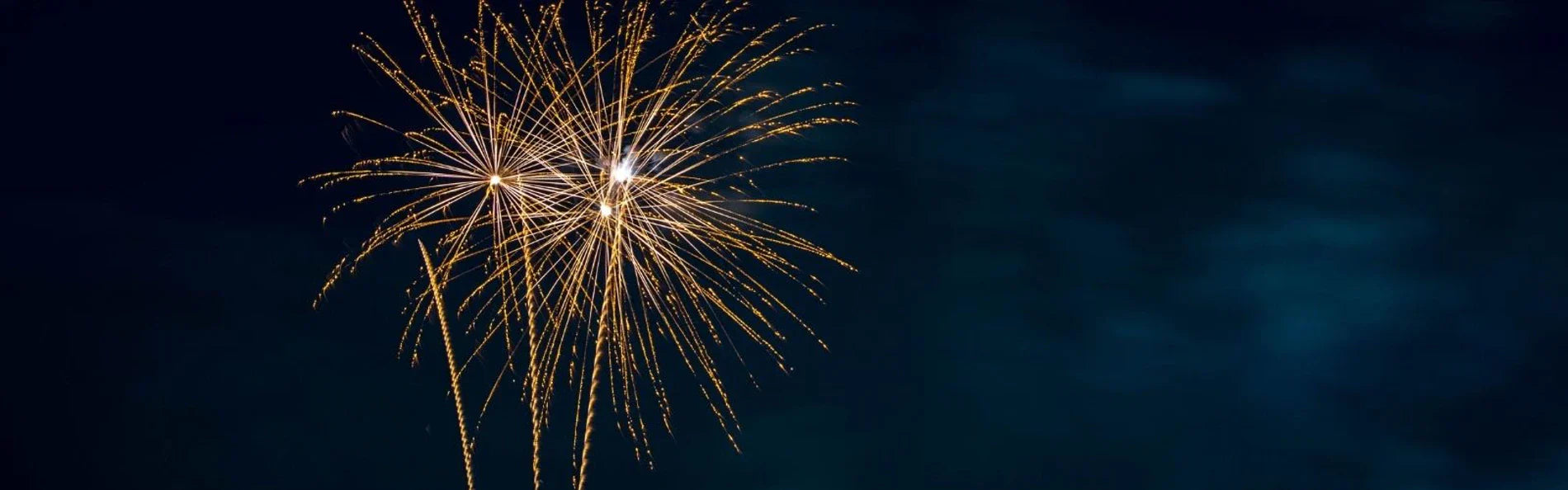 Fireworks, Livestock and Horses