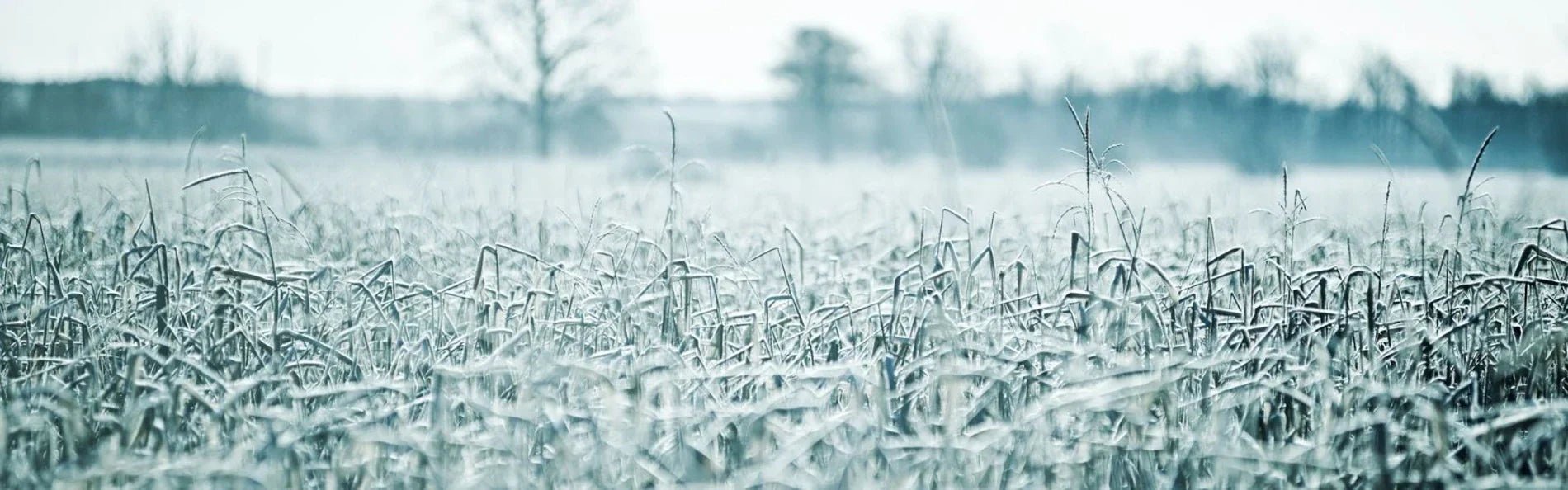 Making The Most Out Of Your Hacking This Winter! - Equetech