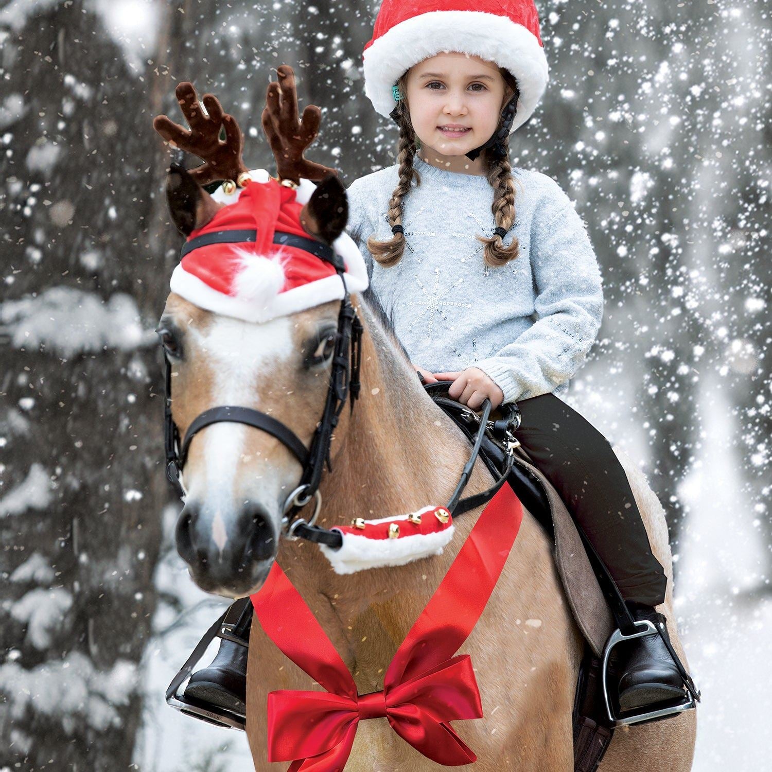 Equetech Santa Hat Horse Bonnet