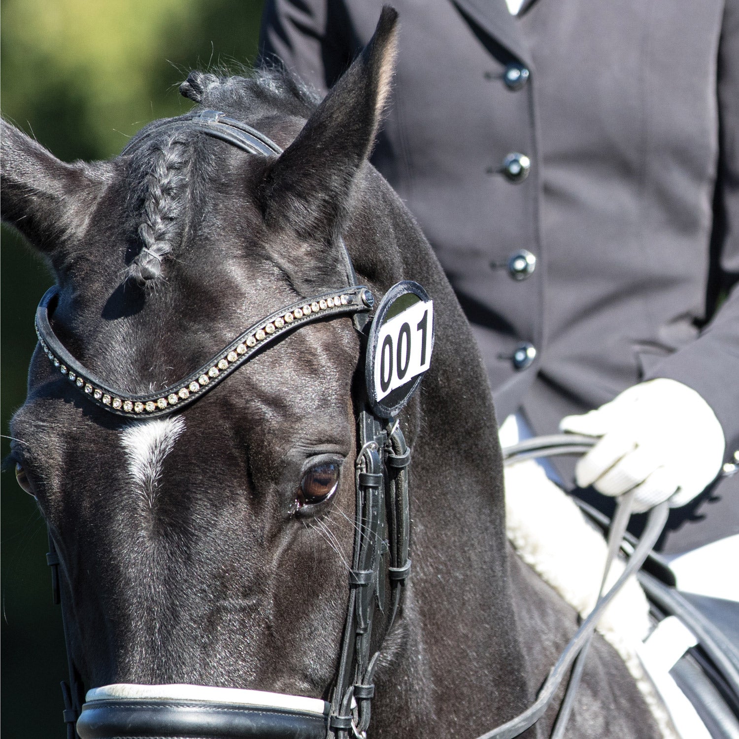 Equetech Bridle Dressage Numbers - Pair