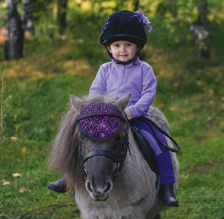 Equetech Cobweb Spider Halloween Horse Hat