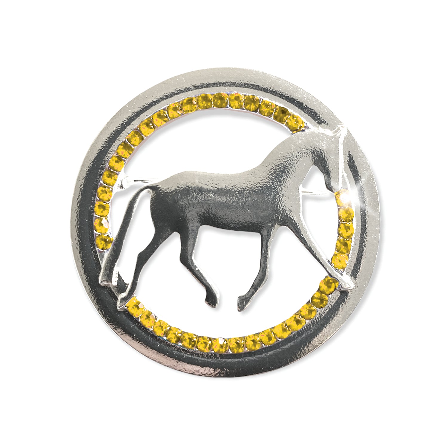 Dressage Provincial Stock Pin
