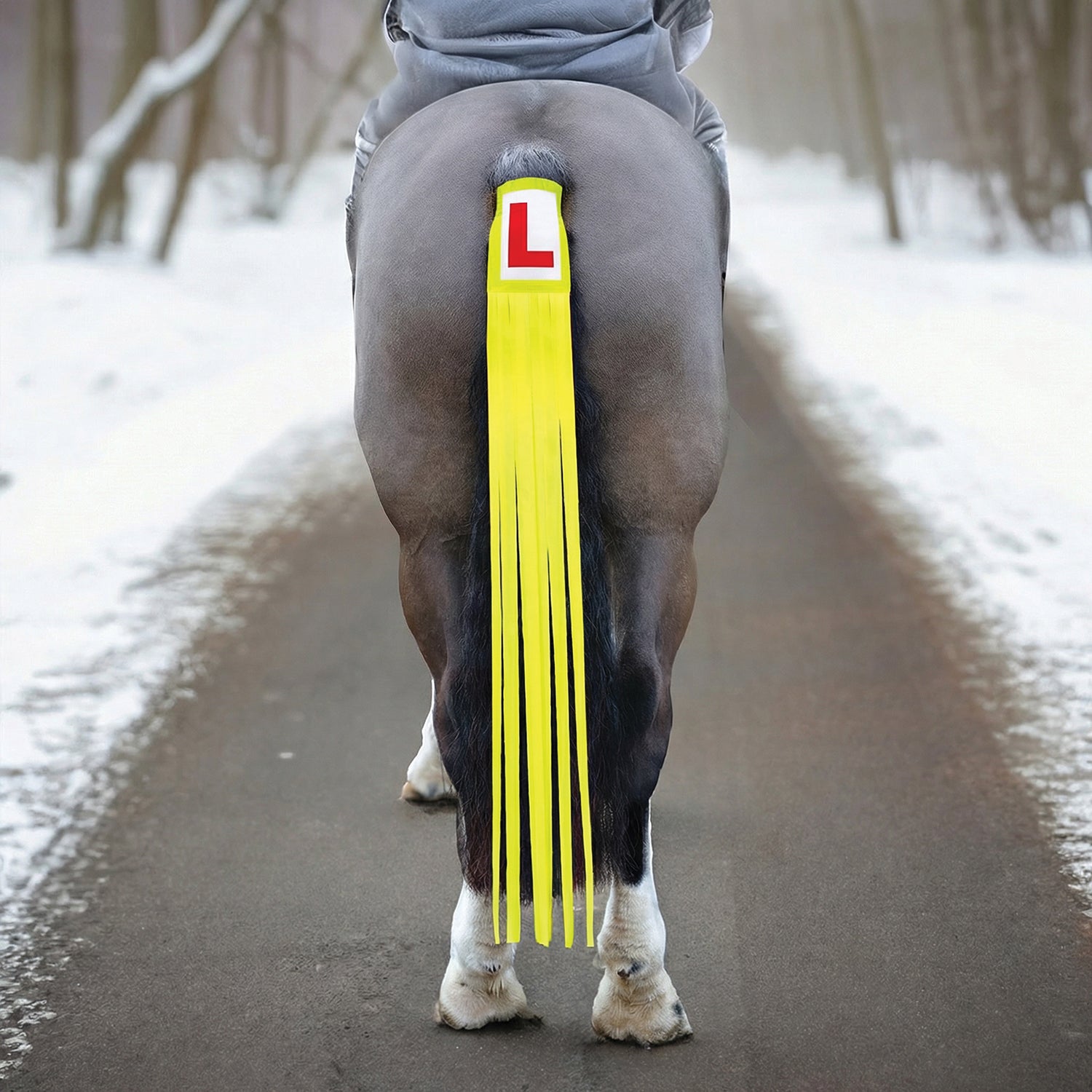 Equetech Vision Learner Tail Tassel