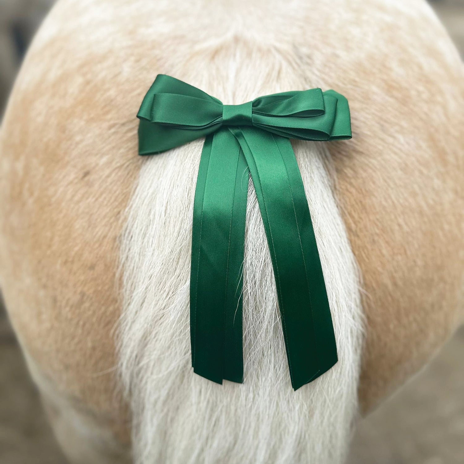 Equetech Horse Competition Warning Tail Ribbon - Green