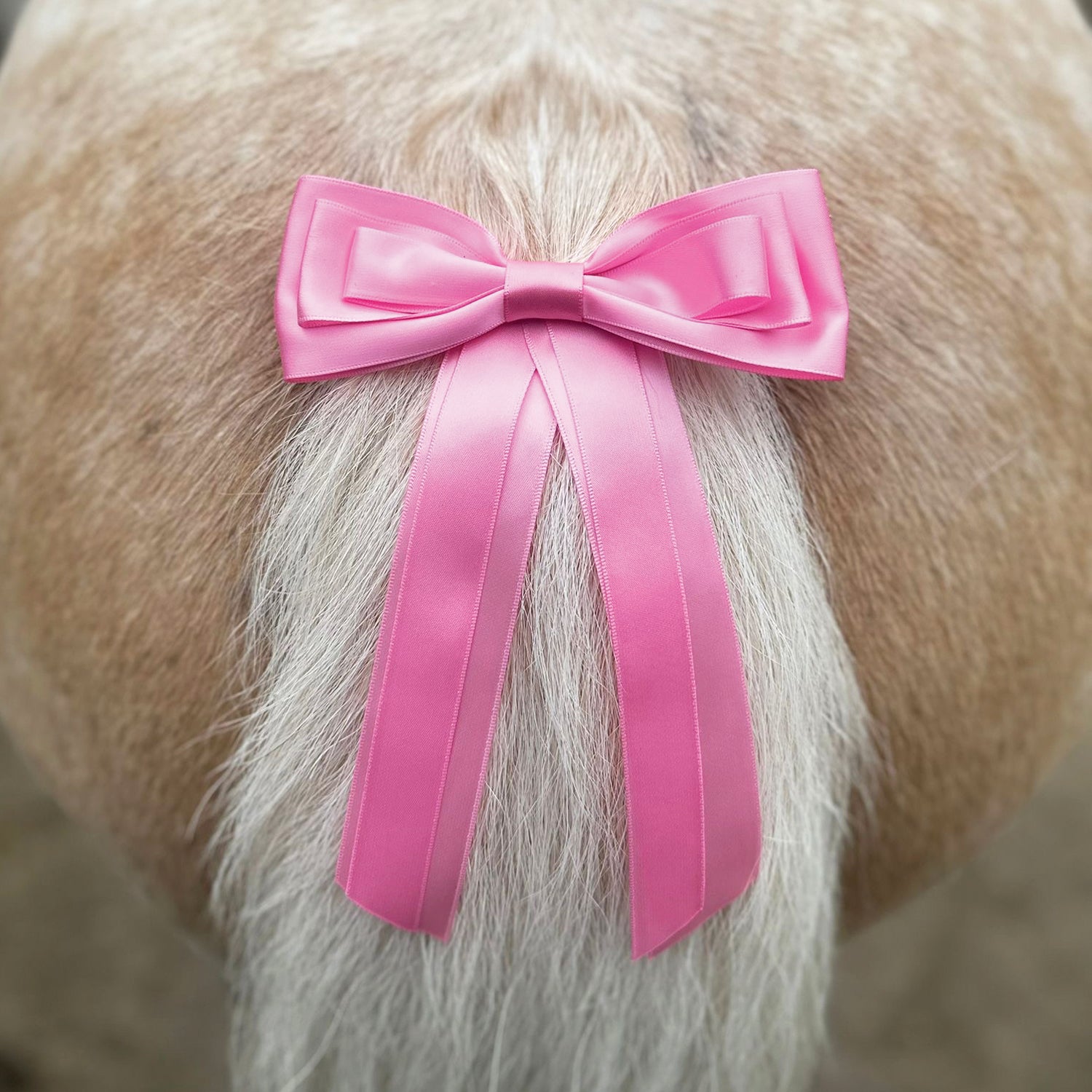 Equetech Horse Competition Warning Tail Ribbon - Pink