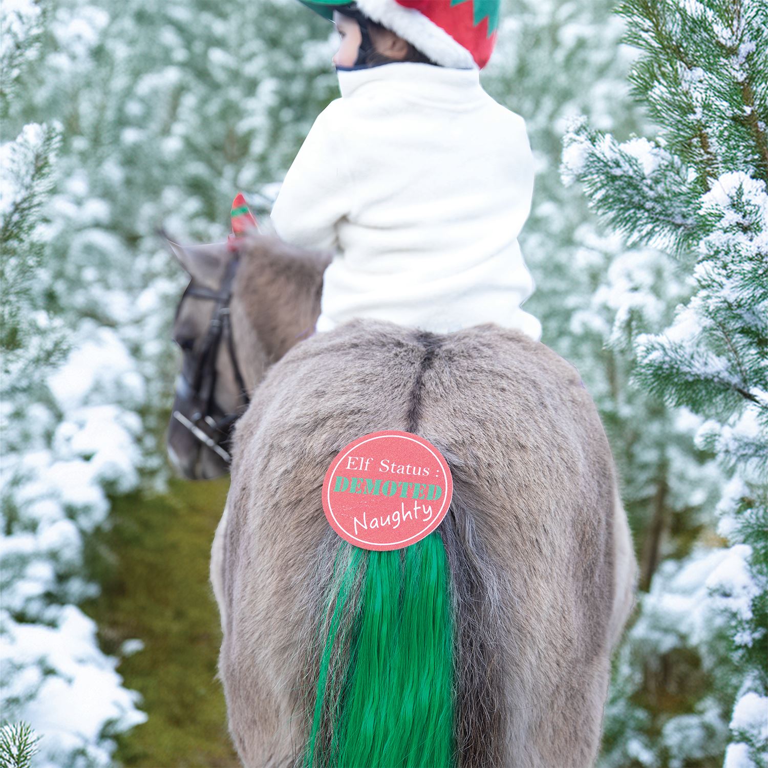Cheeky Elf Festive Christmas Tail Tassel - Equetech