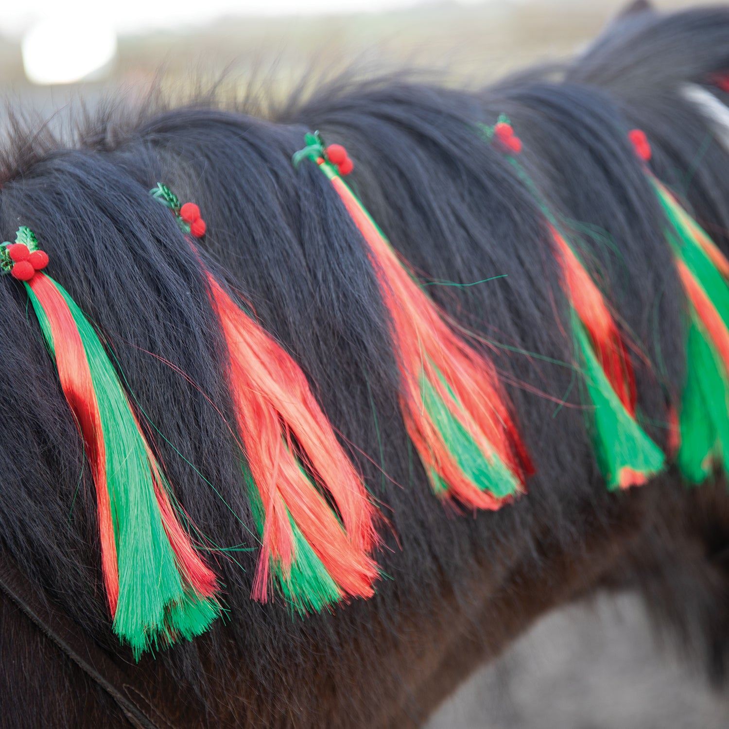 Christmas Holly Festive Horse Mane Tassels - Equetech