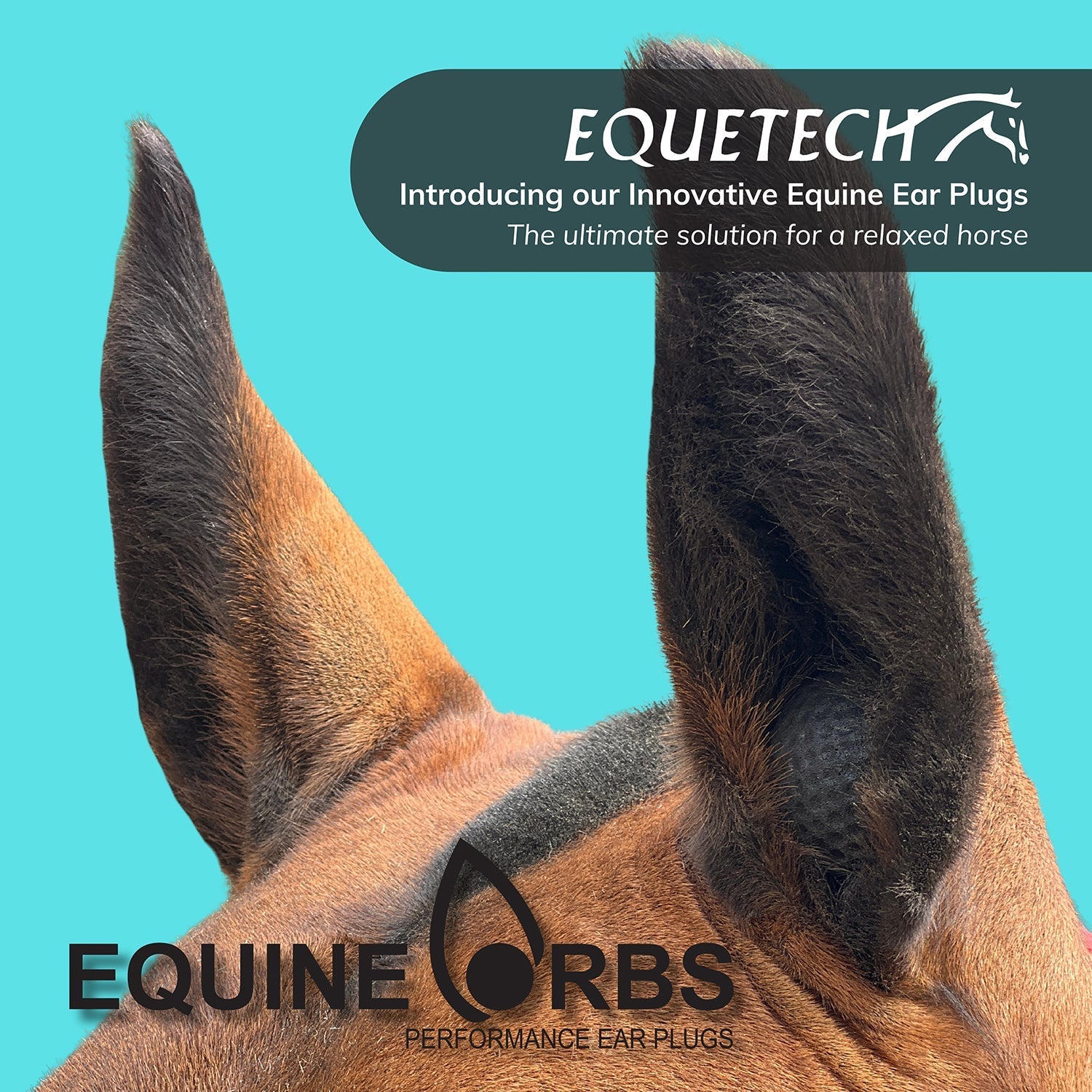 Equine Orbs - Performance Ear Plugs - Equetech
