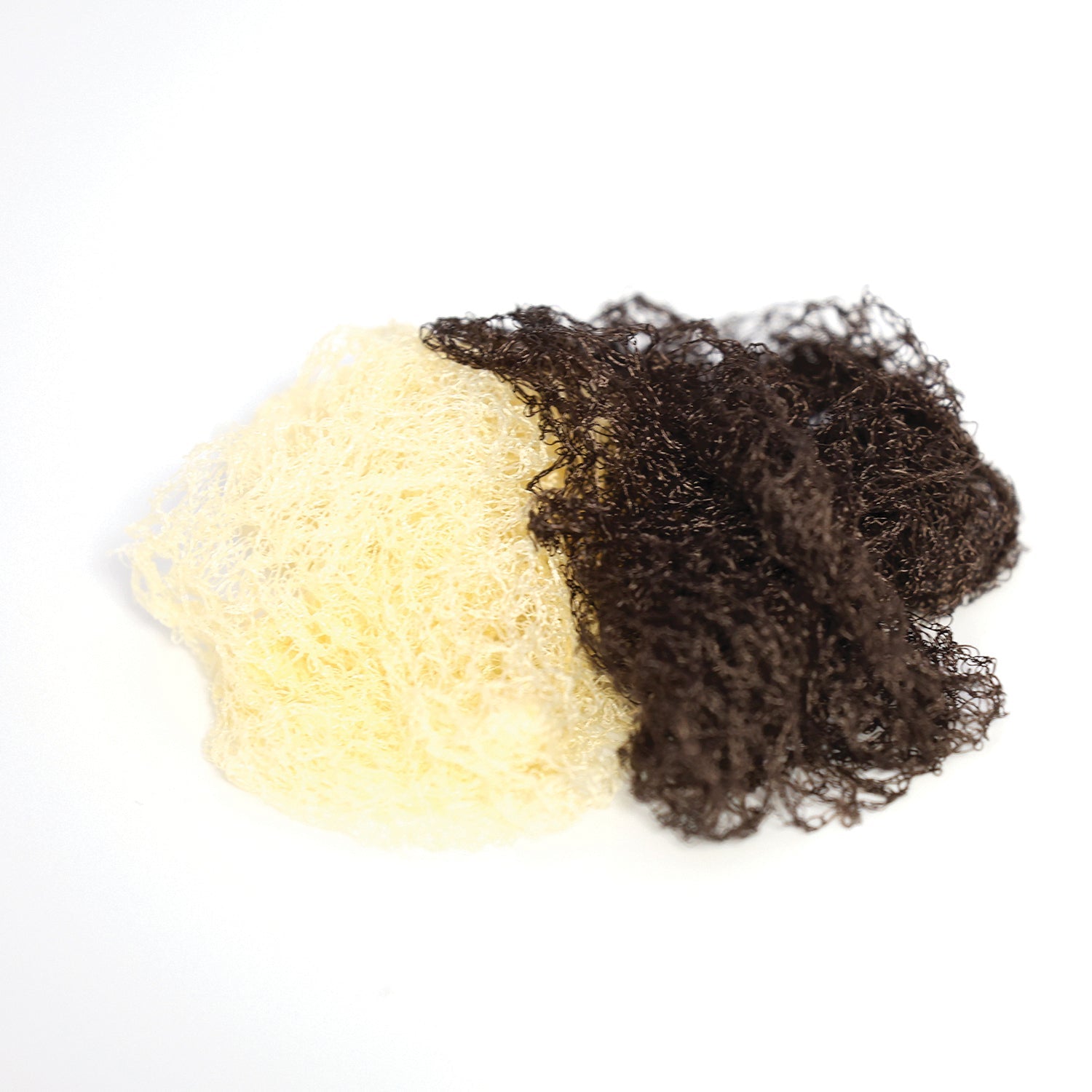 Heavy Weight Show Hairnets - Equetech