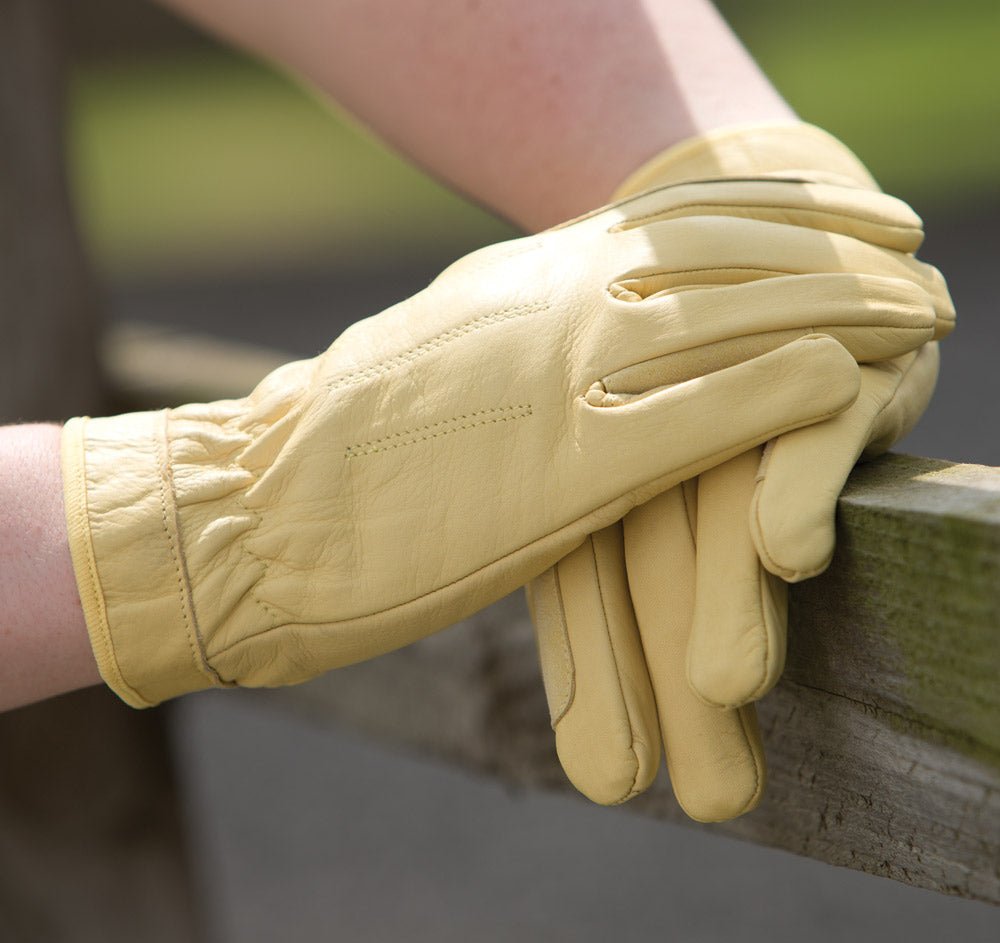 Leather Show Gloves - Equetech