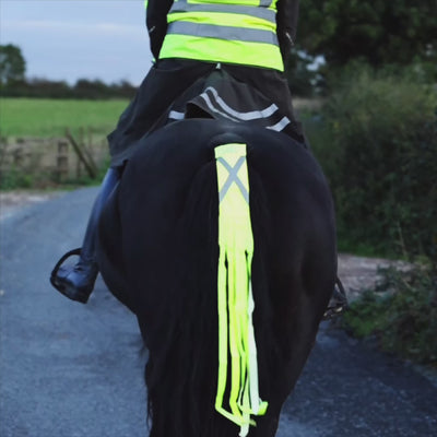 Equetech Hi-Vis Vision Horse Tail Tassels video