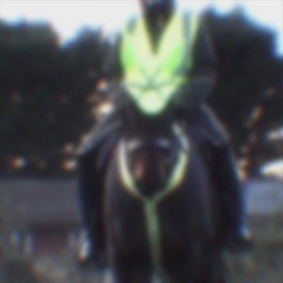 Hi-Vis Vision Acoustic Soundless Horse Ear Bonnet video