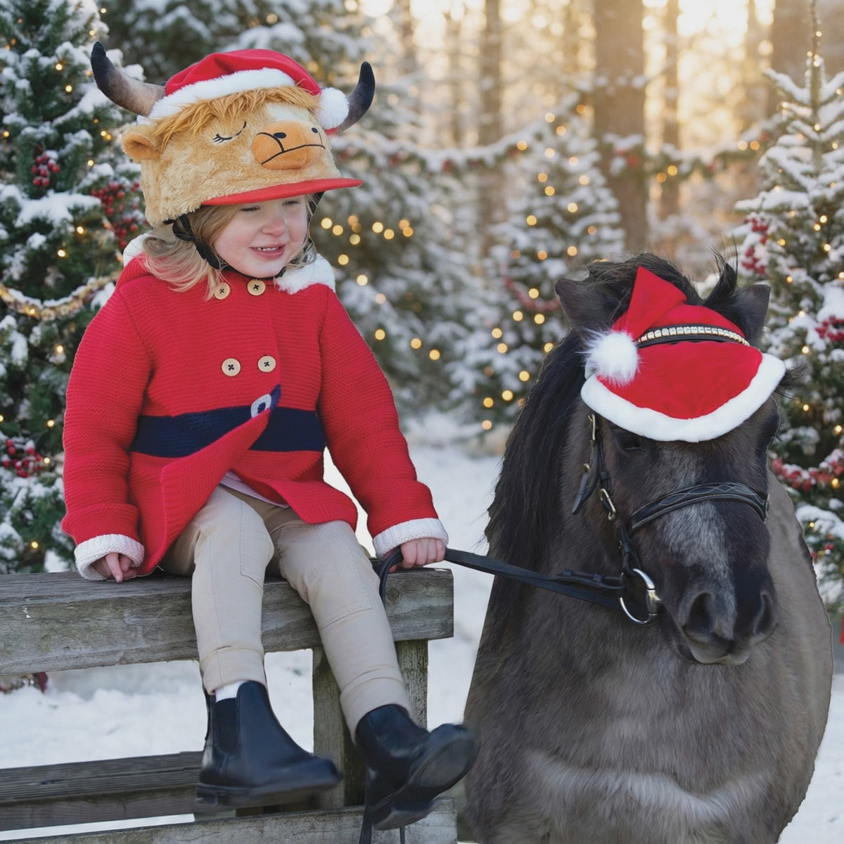Equetech Holly Highland Cow Hat Silk Christmas video with a  pony