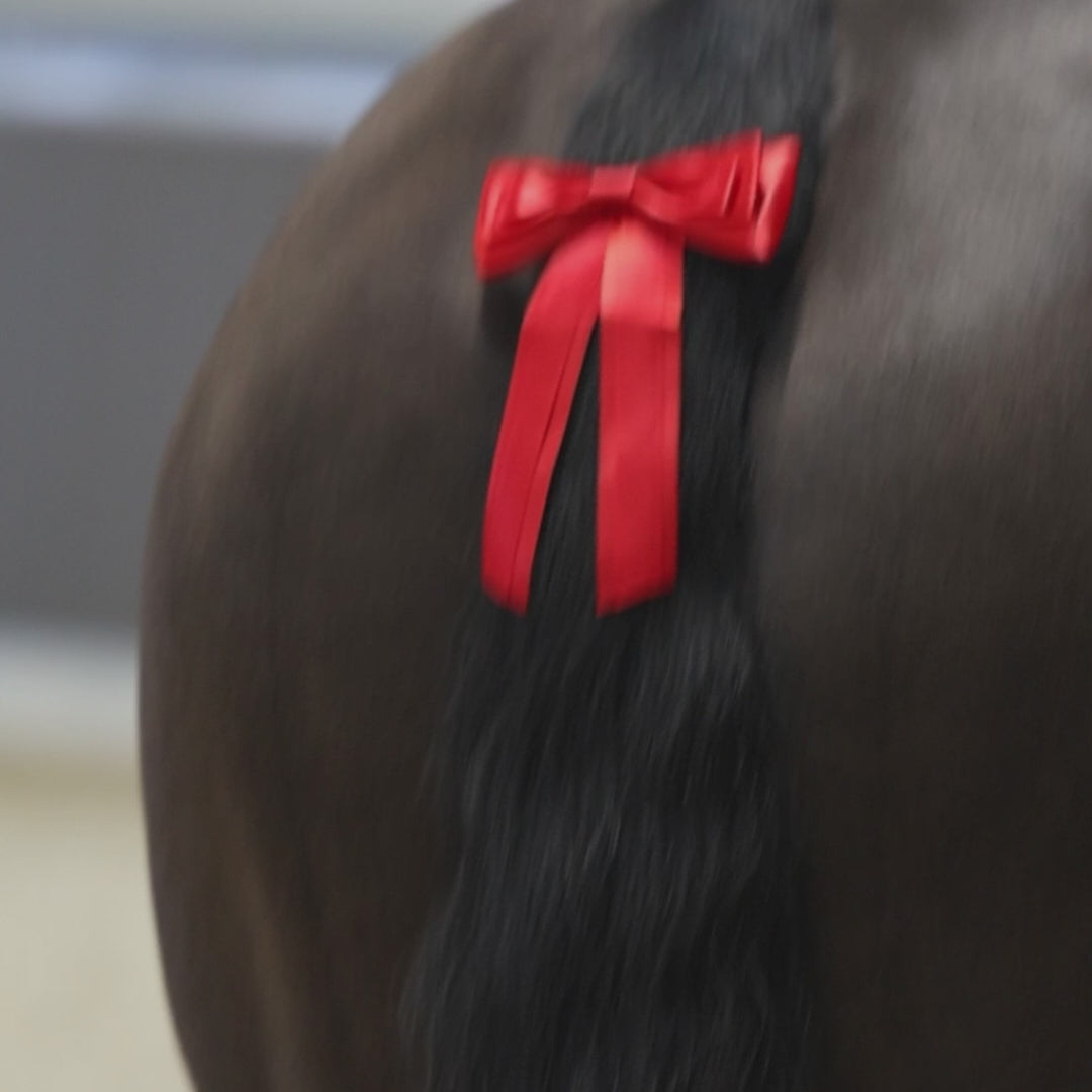 Equetech Horse Competition Warning Tail Ribbon - Red video