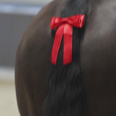 Equetech Horse Competition Warning Tail Ribbon - Red video